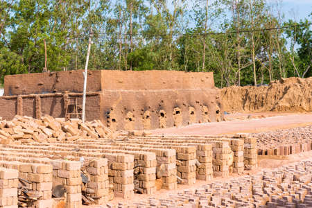 Production of Indian bricks. The brick dries, Puttaparthi, Andhra Pradesh, India. Copy space for textの写真素材