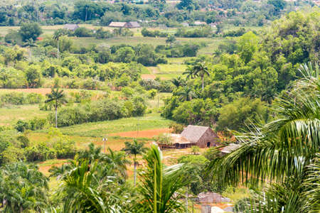 View of the Vinales valley, Pinar del Rio, Cuba. Copy space for textの写真素材