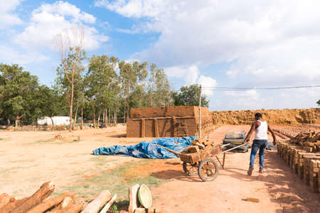 Production of indian bricks. The brick dries, Puttaparthi, Andhra Pradesh, India.のeditorial素材
