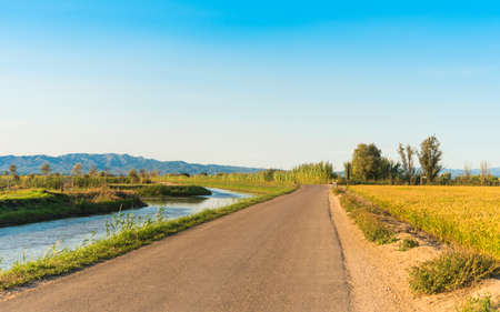 Ebro Delta estuary and wetlands, Tarragona, Catalunya, Spain.の写真素材