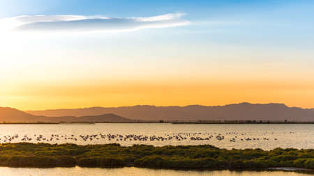 Sunset at the mouth of the Ebro Delta and wetlands, Tarragona, Catalonia, Spain.の写真素材