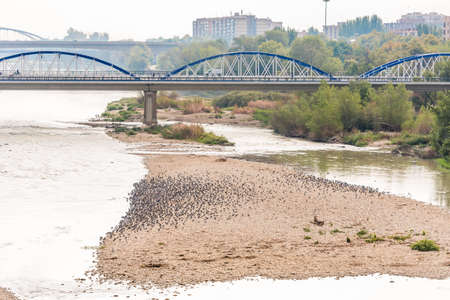 Bridge over the Ebro River, Zaragoza, Spain. Copy space for textの写真素材