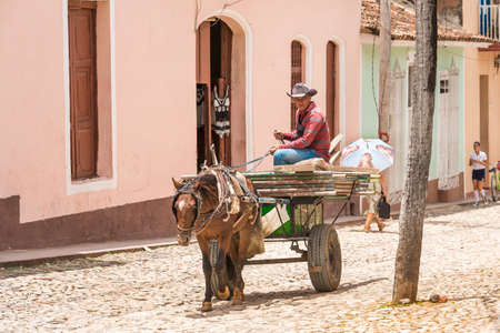 TRINIDAD, CUBA - MAY 16, 2017: The horse in harness on a city street. Copy space for text.のeditorial素材