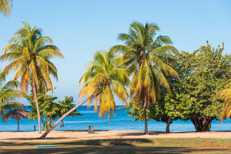 View of the cuban landscape, Cuba, Havana. Copy space for textの写真素材