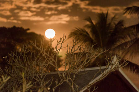 Night landscape close-up in Louangphabang, Laos. Close-upの写真素材