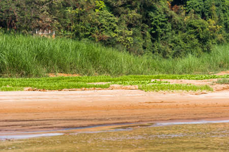 View of the river bank of the Nam Khan river, Louangphabang, Laos. Copy space for textの写真素材