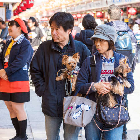 TOKYO, JAPAN - OCTOBER 31, 2017: Mature couple with dogs on a city street. Close-upのeditorial素材