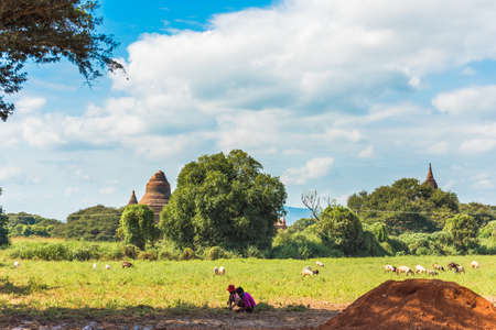 BAGAN, MYANMAR - DECEMBER 1, 2016: Rural landscape. Copy space for textのeditorial素材