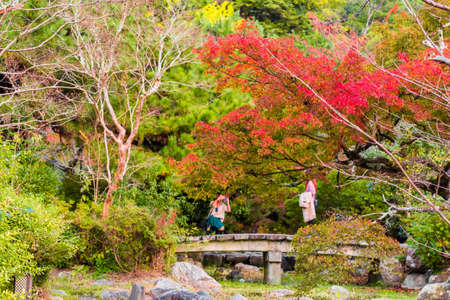 KYOTO, JAPAN - NOVEMBER 7, 2017: View of the autumn landscape in the park. Copy space for text