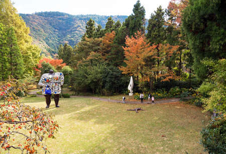 HAKONE, JAPAN - NOVEMBER 5, 2017: Sculpture in the open air museum. Copy space for textのeditorial素材