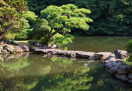 Lake in the city park Shinjuku, Tokyo, Japan. Copy space for textの写真素材