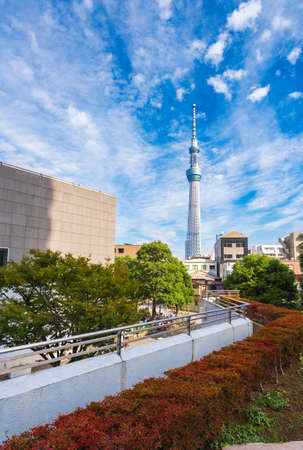 TOKYO, JAPAN - OCTOBER 31, 2017: View of the TV towerのeditorial素材