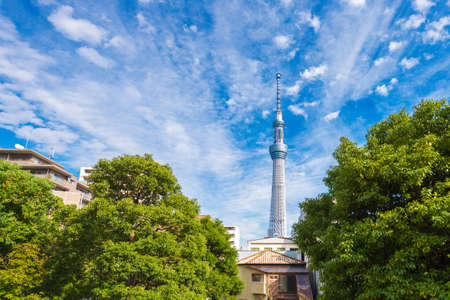 View of the TV tower Tokya, Japanの写真素材