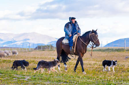 PATAGONIA, CHILE - JANUARY 4, 2018: Shepherd on horseback with dogs. Copy space for textのeditorial素材