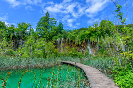 Amazing touristic wooden pathway in the colorful deep forest with clean lakes and spectacular waterfalls, Plitvice National Park, Croatiaのeditorial素材