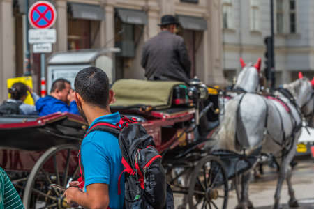 VIENNA, AUSTRIA - JANUARY 1, 2018: A coachman in a cart in the center of the city
