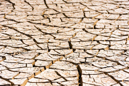 Desert texture, Atacama, Chile. Close-upの写真素材