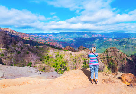 Amazing Waimea canyon in Kauai, Hawaii islands. Copy space for textの写真素材