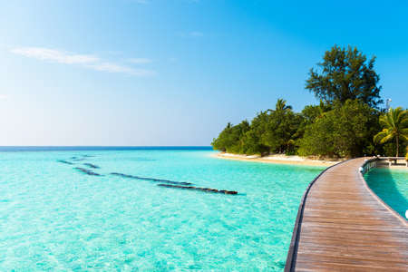 View of the paradise sandy beach, Maldives. Copy space for textの写真素材
