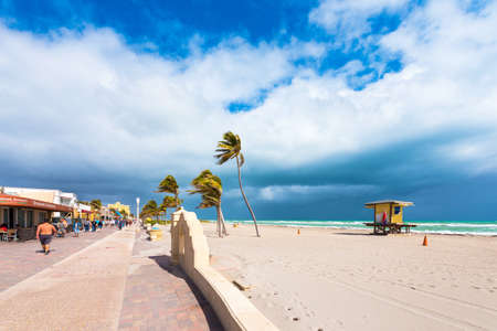 MIAMI, FLORIDA - JANUARY 21, 2018: View of a sandy beach with palm trees. Copy space for textのeditorial素材