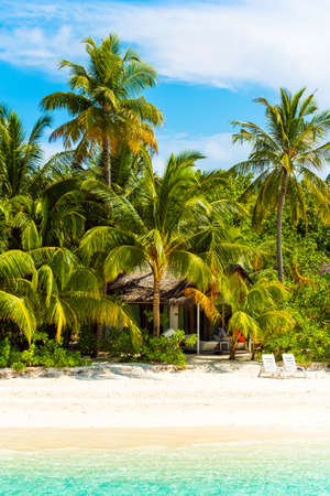 View of the paradise sandy beach, Maldives. Copy space for text. Verticalの写真素材
