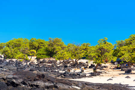 View of the sandy beach, Hawaii, USA. Copy space for text