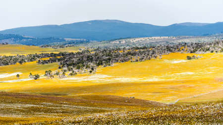 View of the landscape in Calafate, Patagonia, Argentina