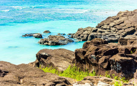 Cook Islands, South Pacific. With selective focus