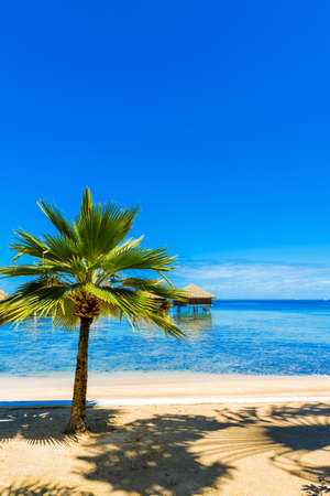 View of the sandy beach in the lagoon Huahine, French Polynesia. Vertical. Copy space for text