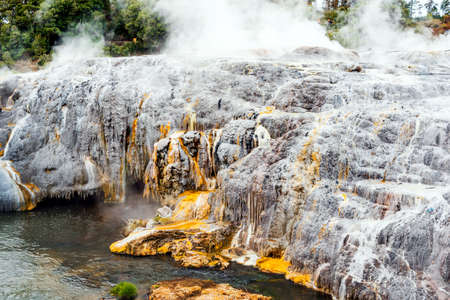 Hot Springs in Te Puia, Rotorua in New Zealand on the North Islandの写真素材