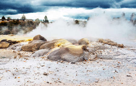 Hot Springs in Te Puia, Rotorua in New Zealand on the North Island