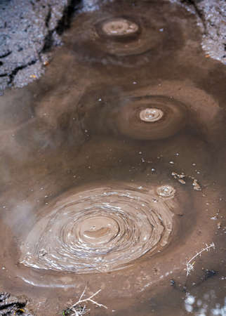 Hot Springs in Te Puia, Rotorua in New Zealand on the North Island. Close-up. Verticalの写真素材