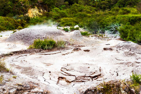 Hot Springs in Te Puia, Rotorua in New Zealand on the North Island
