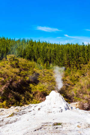 Lady Knox Geyser on the North Island in Wai-O-Tapu, Rotorua, New Zealand. Vertical.の写真素材