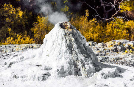 Lady Knox Geyser on the Island of Wai-O-Tapu, Rotorua, New Zealand. With selective focus