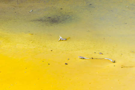 Ground texture in Wai-O-Tapu geothermal area, Rotorua, New Zealandの写真素材