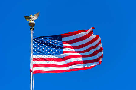 National Flag, San Bruno, California, USA Isolated on blue backgroundの写真素材