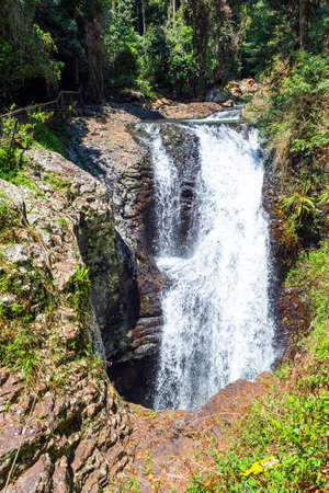 Waterfall view, Gold Coast, Queensland, Australia. Vertical