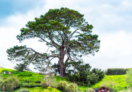 MATAMATA, NEW ZEALAND - OCTOBER 10, 2018: Landscape of the Hobbiton Movie Setのeditorial素材