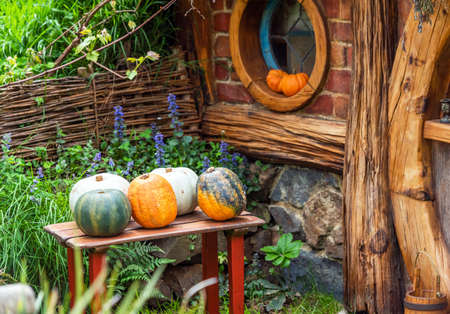 MATAMATA, NEW ZEALAND - OCTOBER 10, 2018: Pumpkins on a table in the yard, Hobbiton Movie Set and Farm. With selective focusのeditorial素材