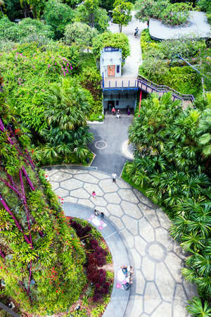 SINGAPORE - NOVEMBER 11, 2018: Cloud forest dome, Gardens by the bay. Top view. Vertical