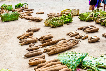 Sweet potatoes for sale in the local market, Tanna Island, Vanuatuの写真素材