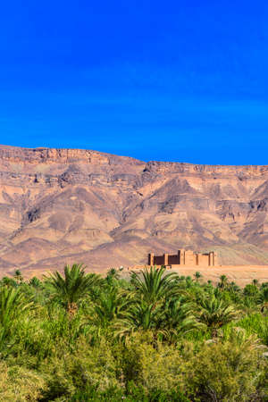 Mountain landscape, Oasis of the Draa Valley, Morocco. Copy space for text. Vertical 