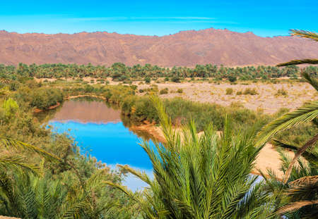 A view of the landscape of the river Draa, Morocco