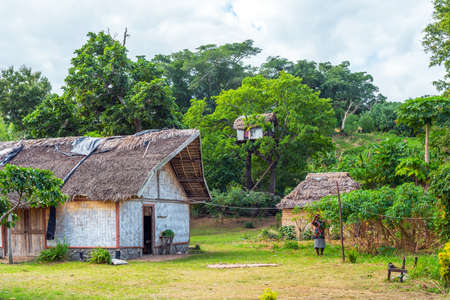 TANNA ISLAND, VANUATU - JULY 22, 2019: View of the village and tree houseのeditorial素材