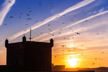 Sunset at Essaouira and view of the fort, Essaouira, Moroccoの写真素材