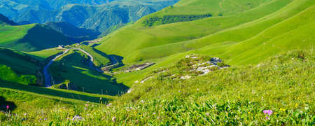 A Beautiful Meadow Landscape of Caucasus Mountains, Elbrus Region