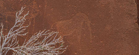 KHORIXAS, NAMIBIA - January 13.2021: Prehistoric Bushman engravings, rock painting at Twyfelfontein, Namibia - Plate with round symbols for waterholes on a rockのeditorial素材