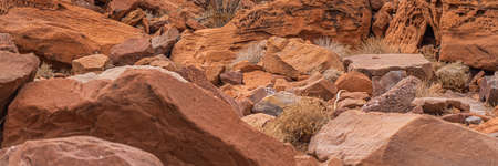 KHORIXAS, NAMIBIA - January 13.2021: Prehistoric Bushman engravings, rock painting at Twyfelfontein, Namibia - Plate with round symbols for waterholes on a rockのeditorial素材