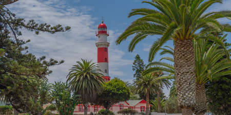 Helmeted guineafowl, big gray bird in grass. Wildlife scene from nature at Swakopmund, Namibiaの写真素材